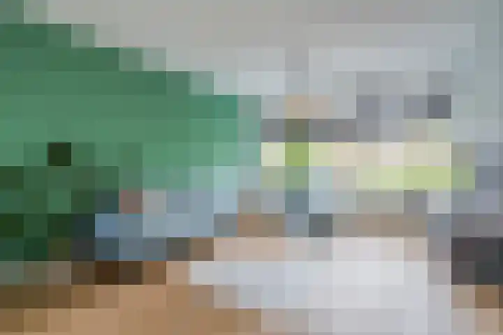 Euratomsingel 13 Heemskerk thumbnail 7