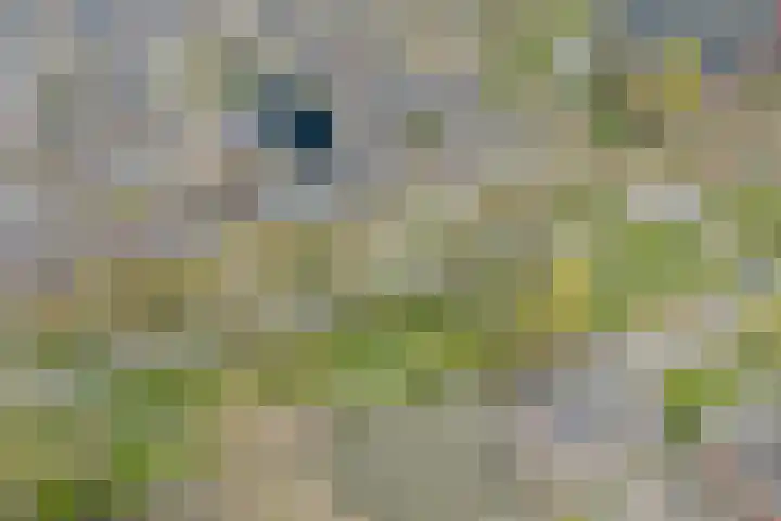 Euratomsingel 13 Heemskerk thumbnail 75