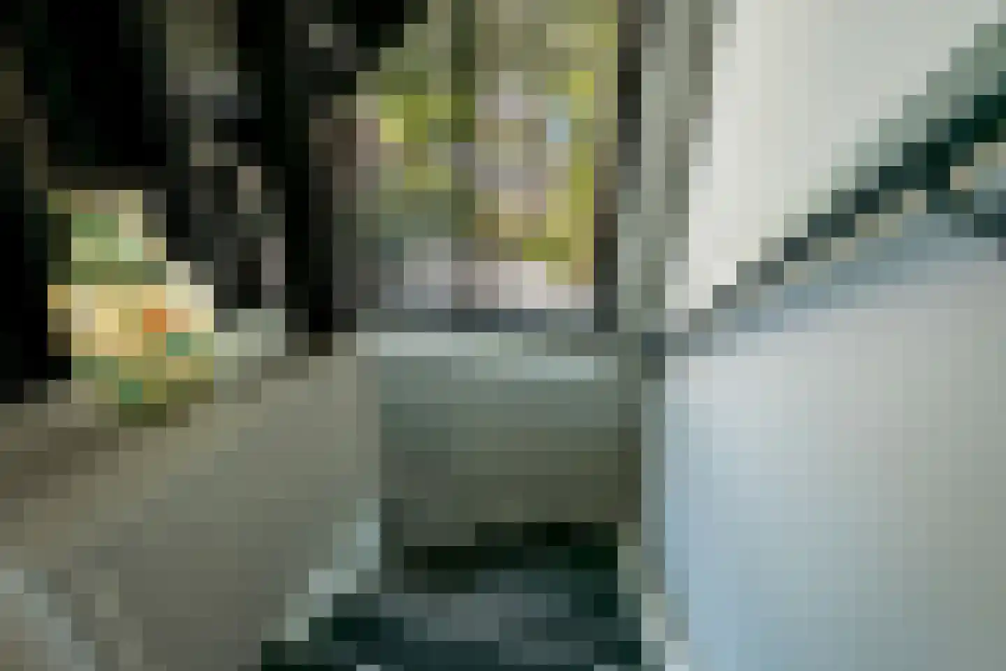Eurenderstraat 10 Kerkrade thumbnail 29