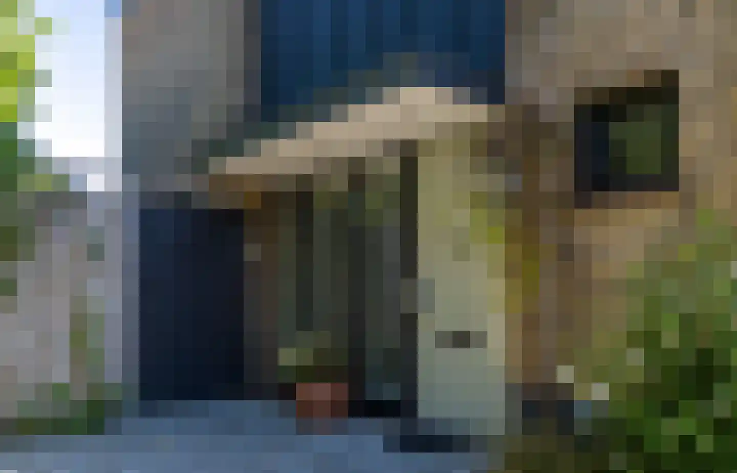 Eurenderstraat 10 Kerkrade thumbnail 5