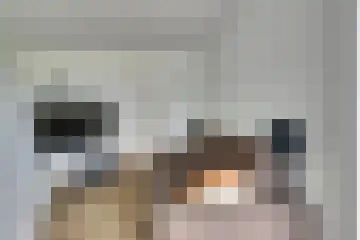 Eurokade 16 B Amsterdam thumbnail 16