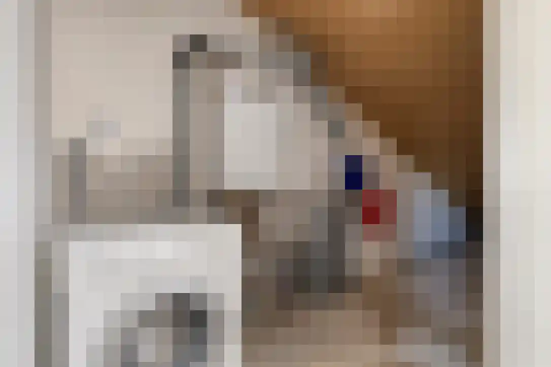 Eurokade 17 Amsterdam thumbnail 23