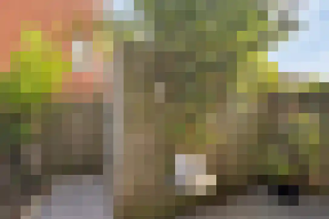 Eurokade 17 Amsterdam thumbnail 7