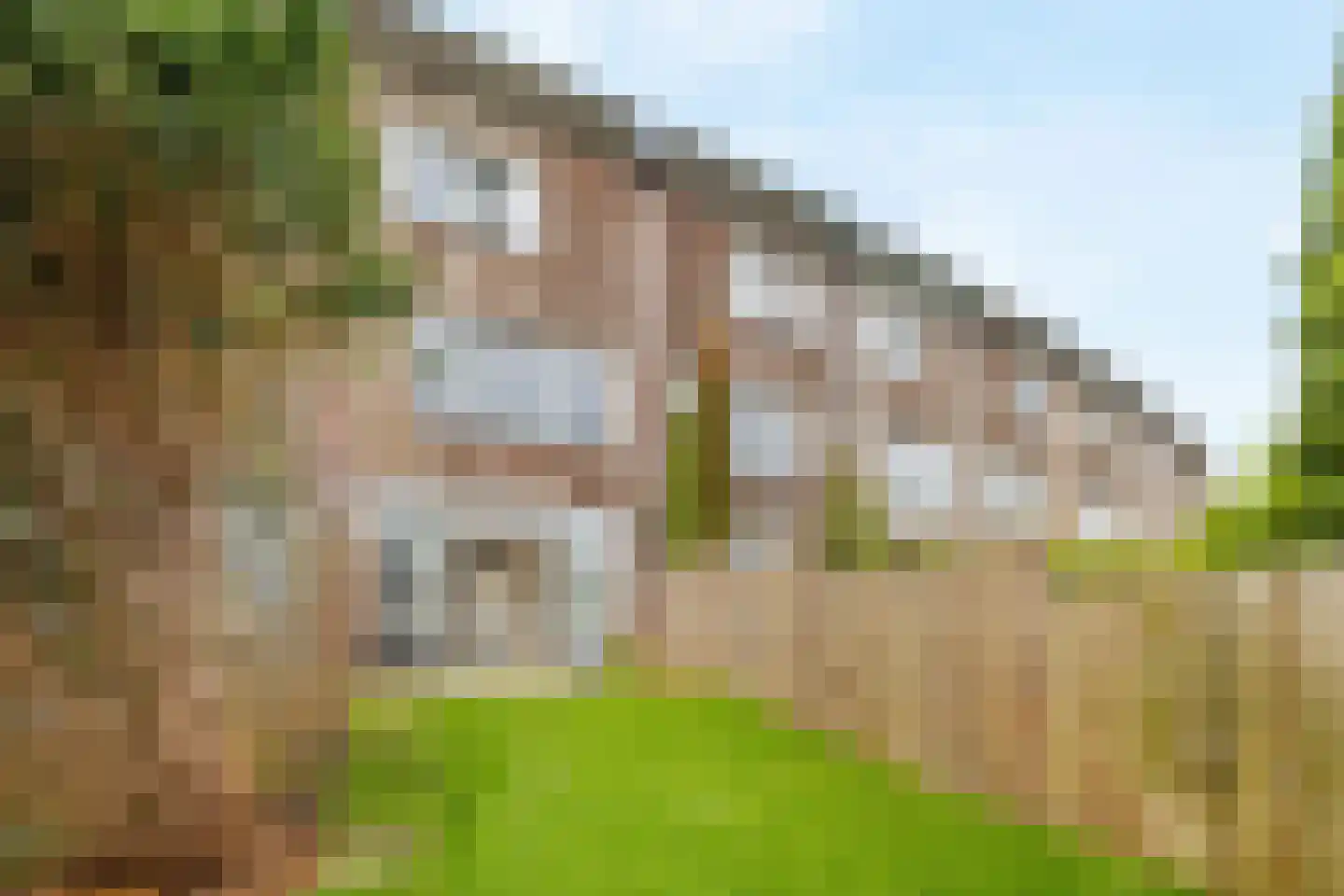 Eurokade 22 Amsterdam thumbnail 4