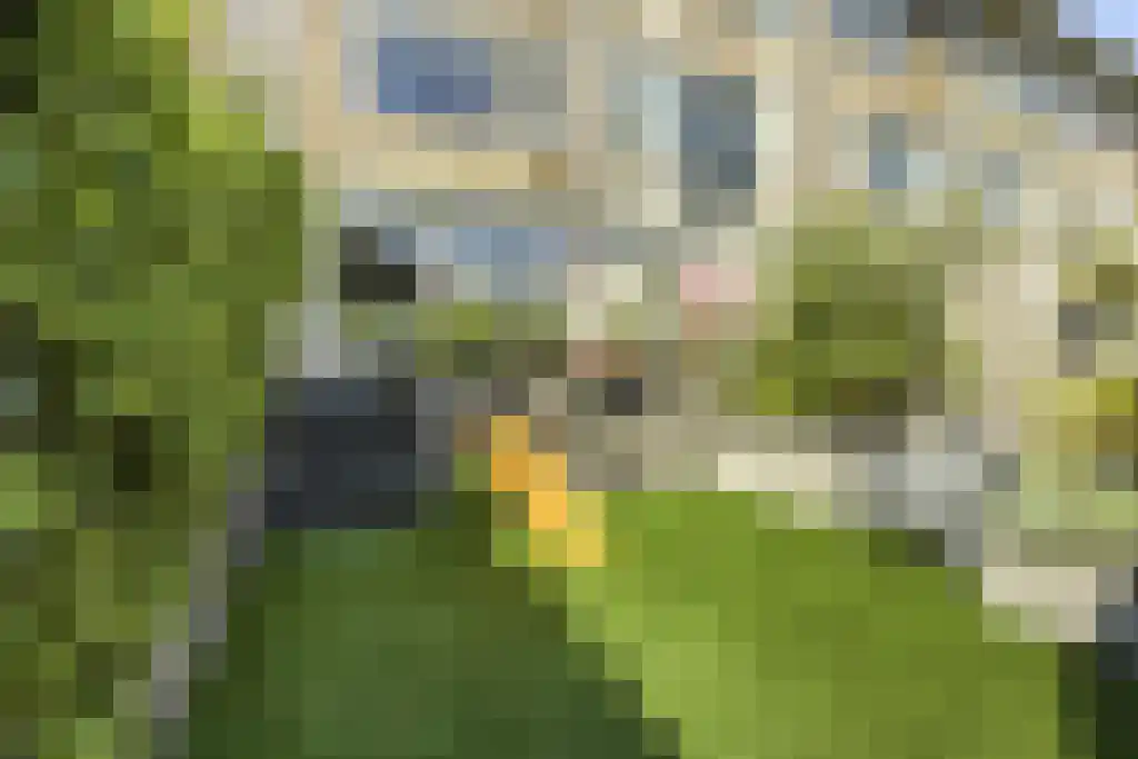 Eurokade 34 Amsterdam thumbnail 10