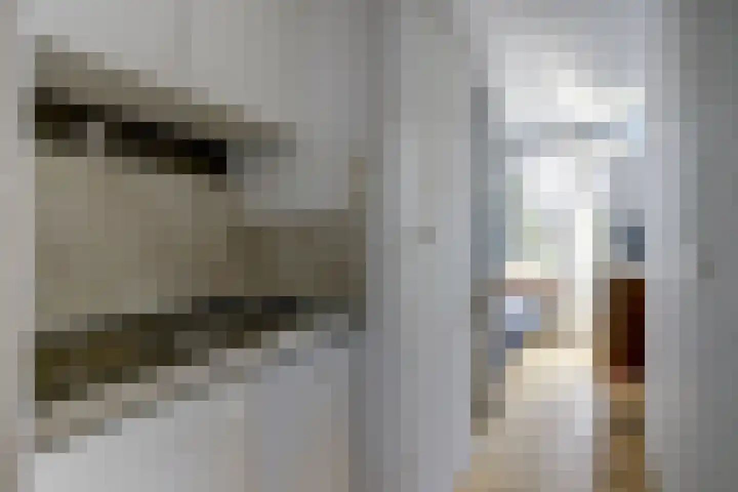 Eurokade 41 Amsterdam thumbnail 10