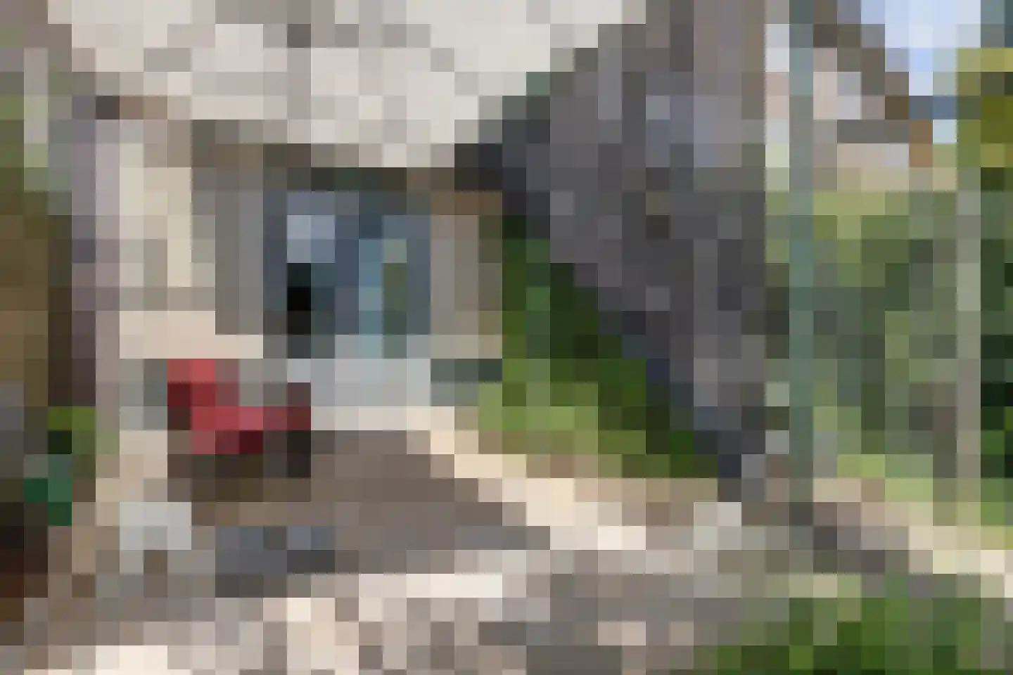 Eurokade 41 Amsterdam thumbnail 43