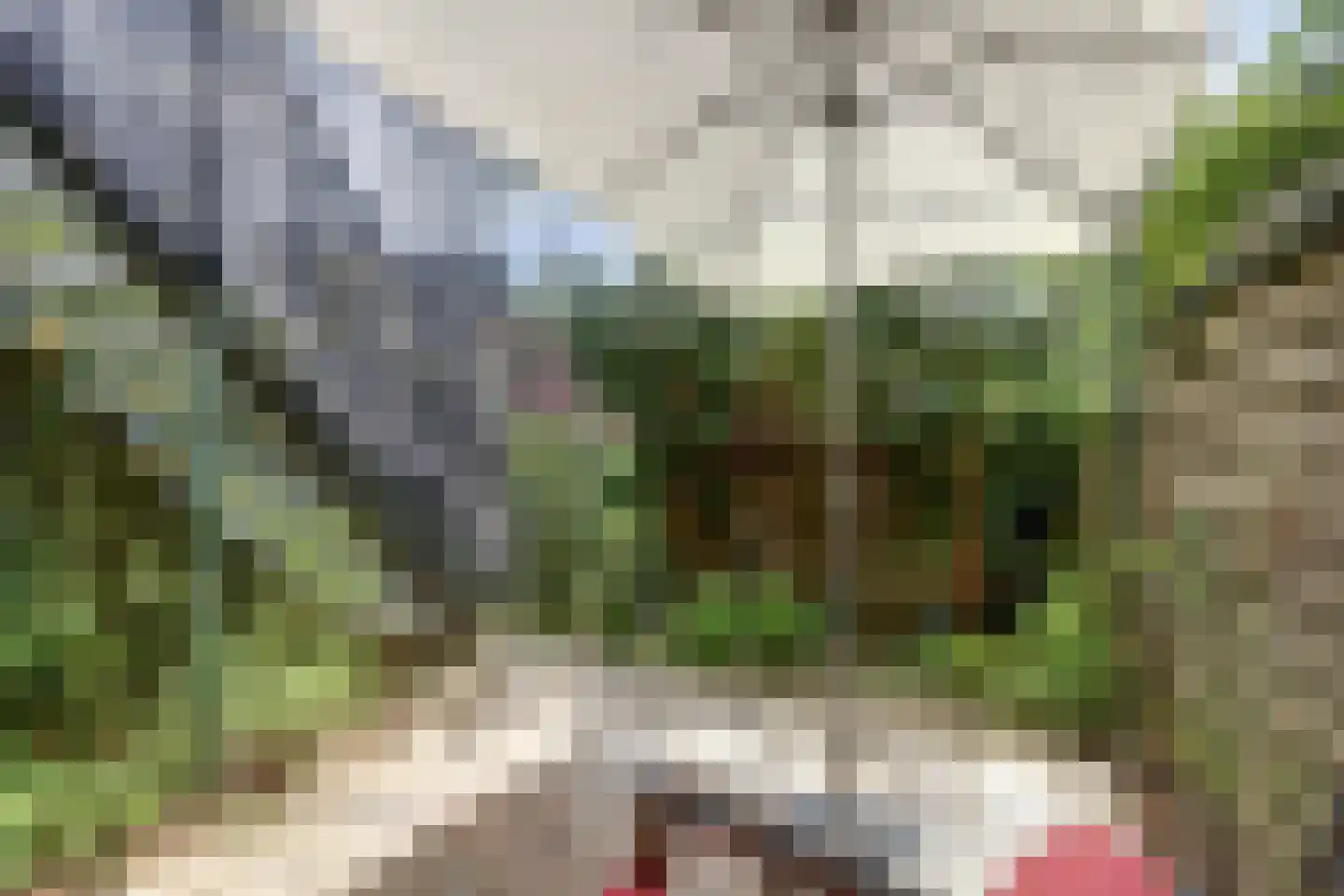 Eurokade 41 Amsterdam thumbnail 44