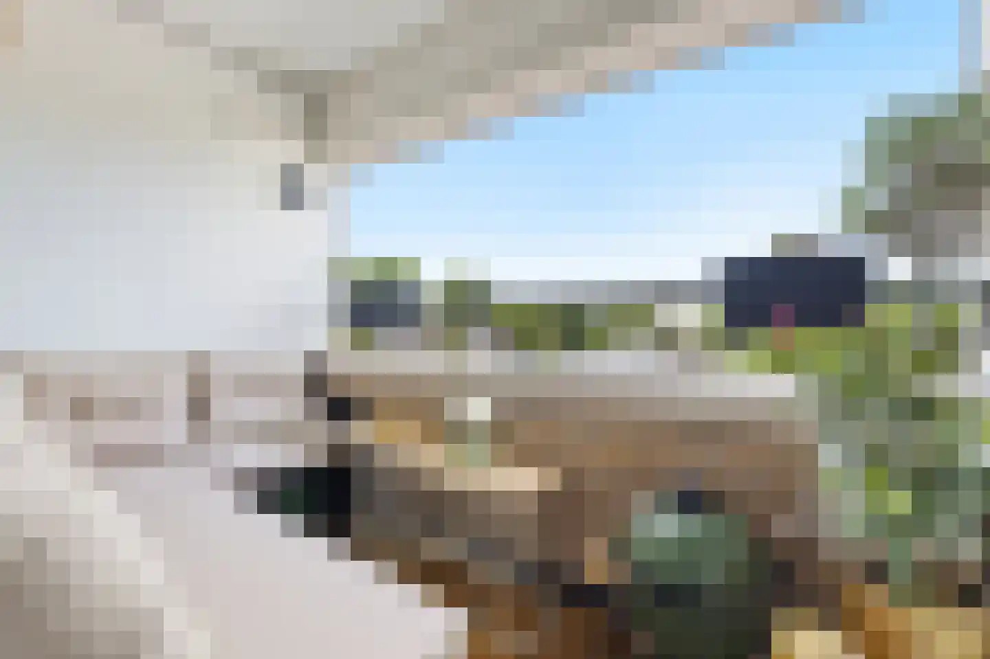 Euromarkt 32 Middelburg thumbnail 5
