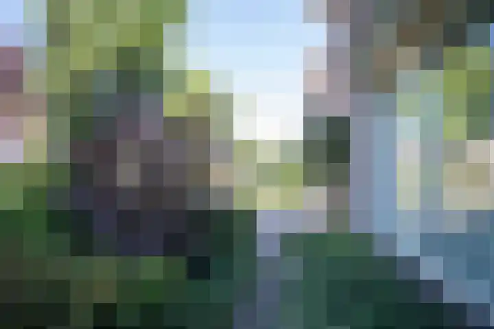 Europa-ring 212 Wierden thumbnail 8