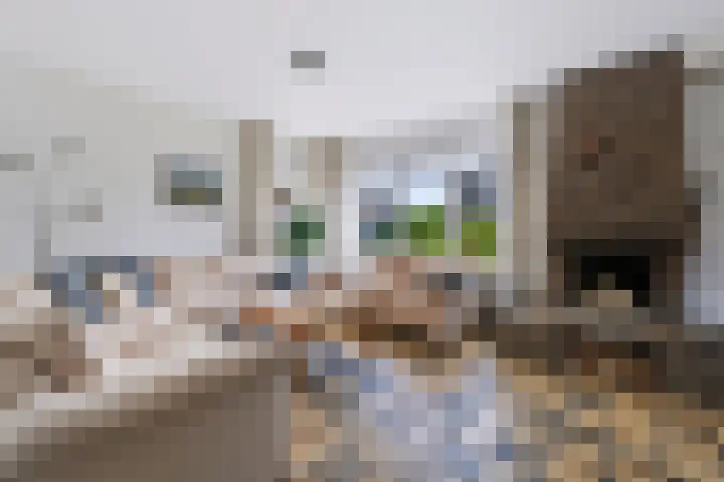 Europa-ring 218 Wierden thumbnail 8
