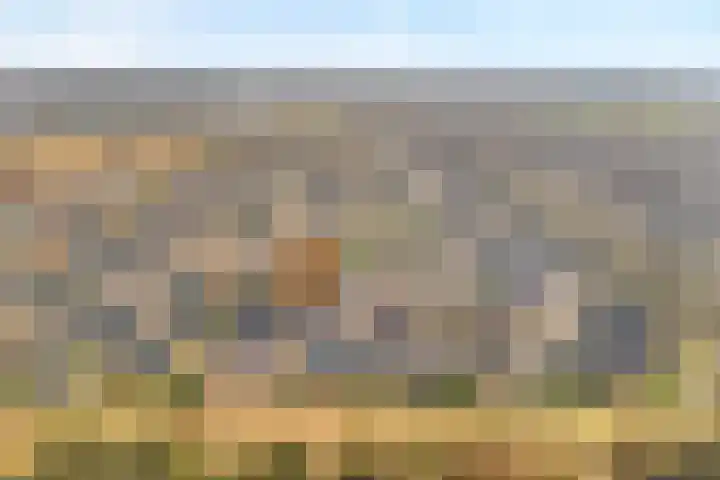 Europa-ring 37 Wierden thumbnail 36