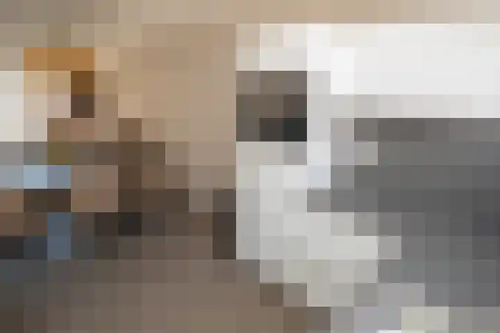 Europa-ring 43 Wierden thumbnail 10