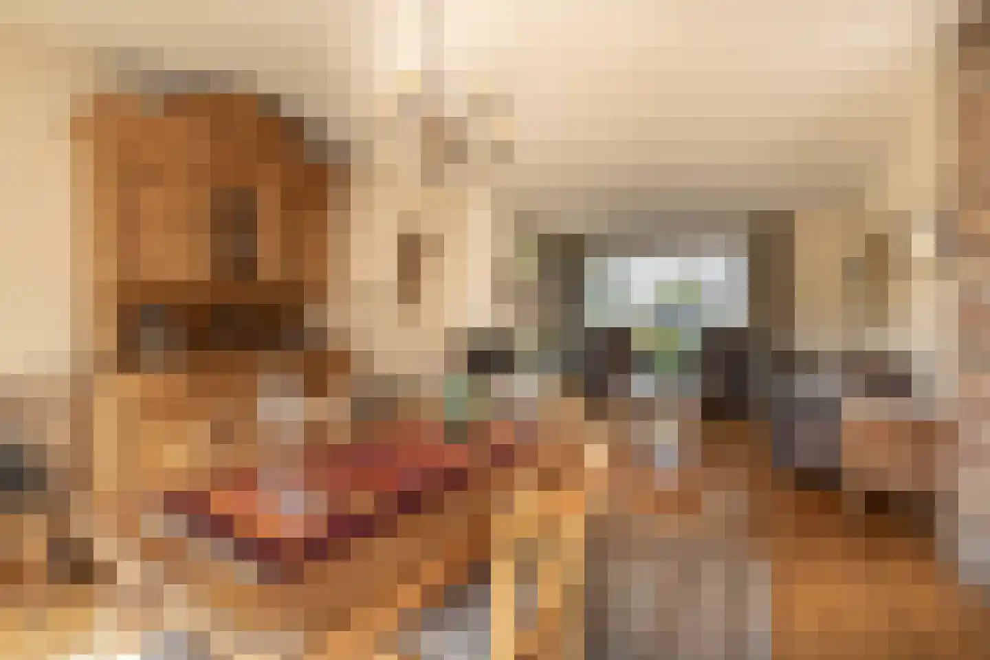 Europalaan 1 A Geleen thumbnail 11