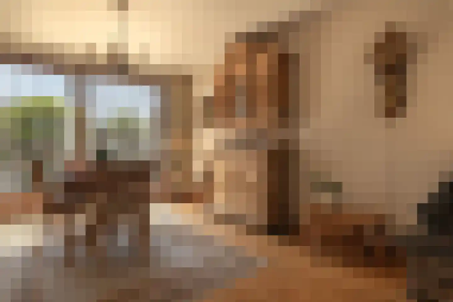 Europalaan 1 A Geleen thumbnail 14