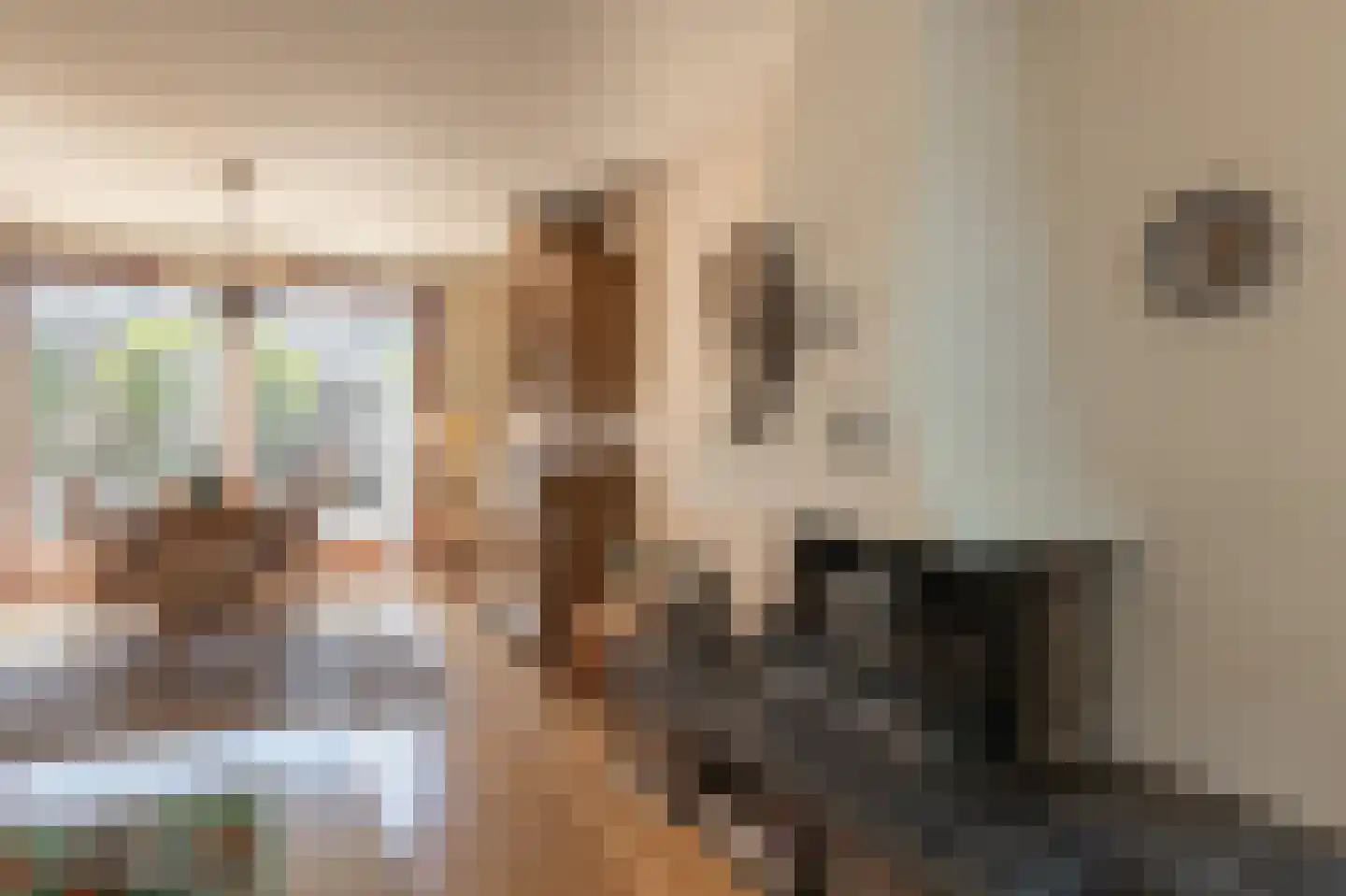 Europalaan 1 A Geleen thumbnail 17