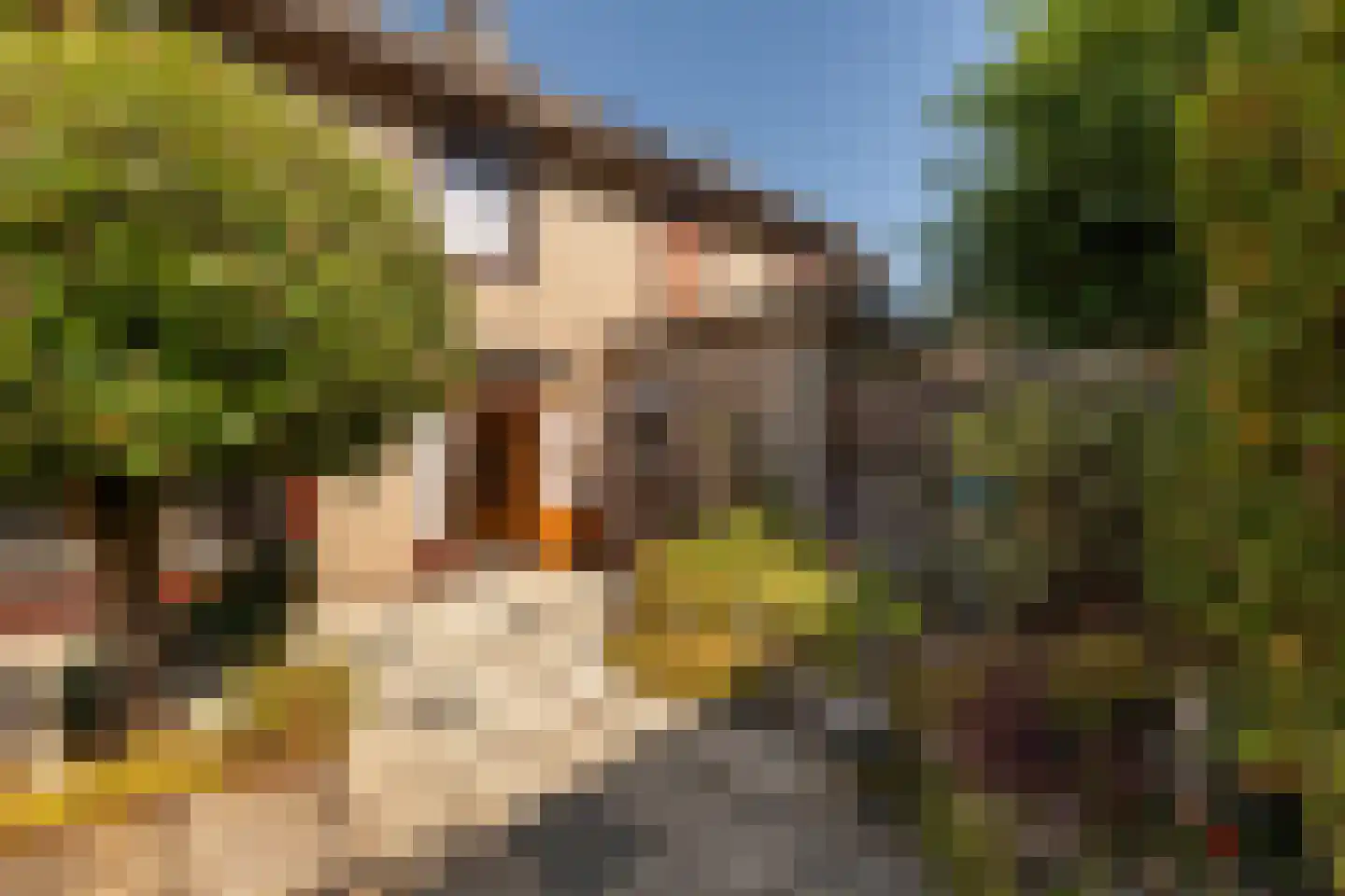 Europalaan 1 A Geleen thumbnail 20