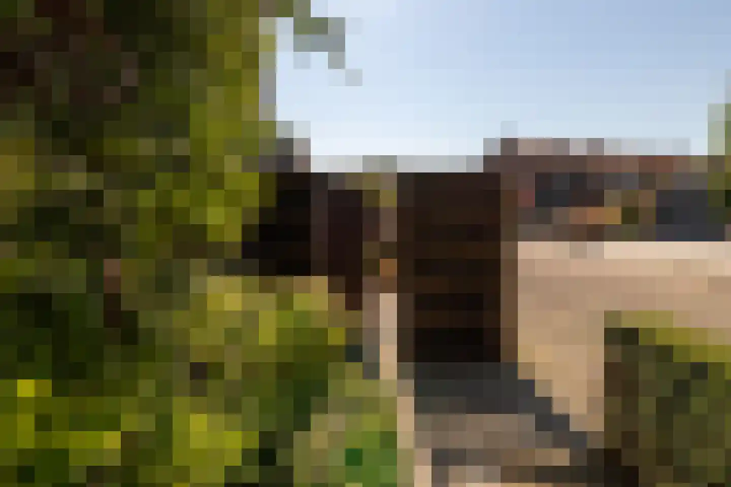 Europalaan 1 A Geleen thumbnail 21