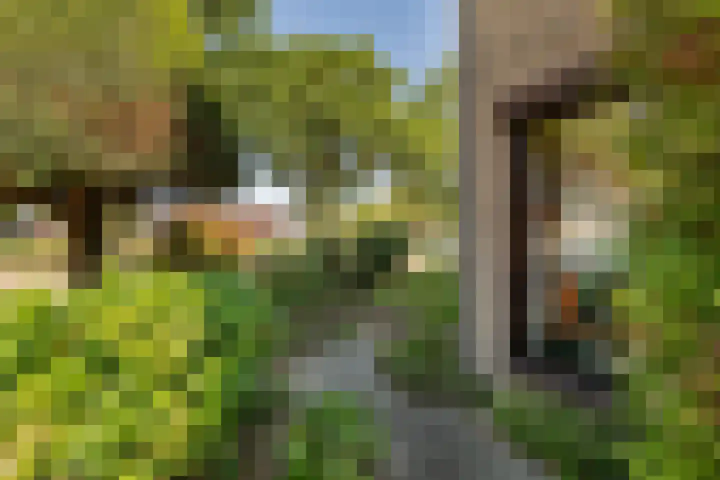 Europalaan 1 A Geleen thumbnail 22