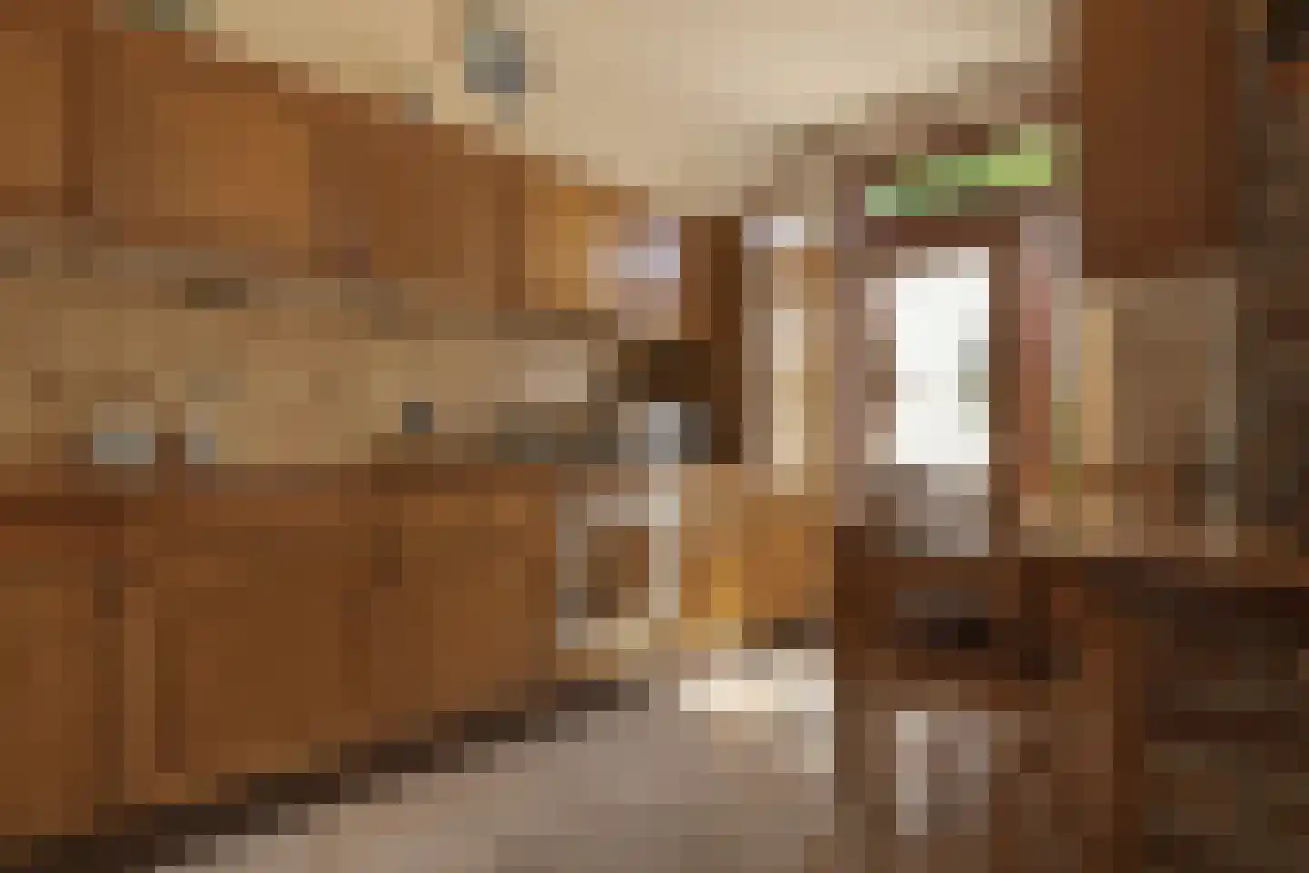 Europalaan 1 A Geleen thumbnail 23