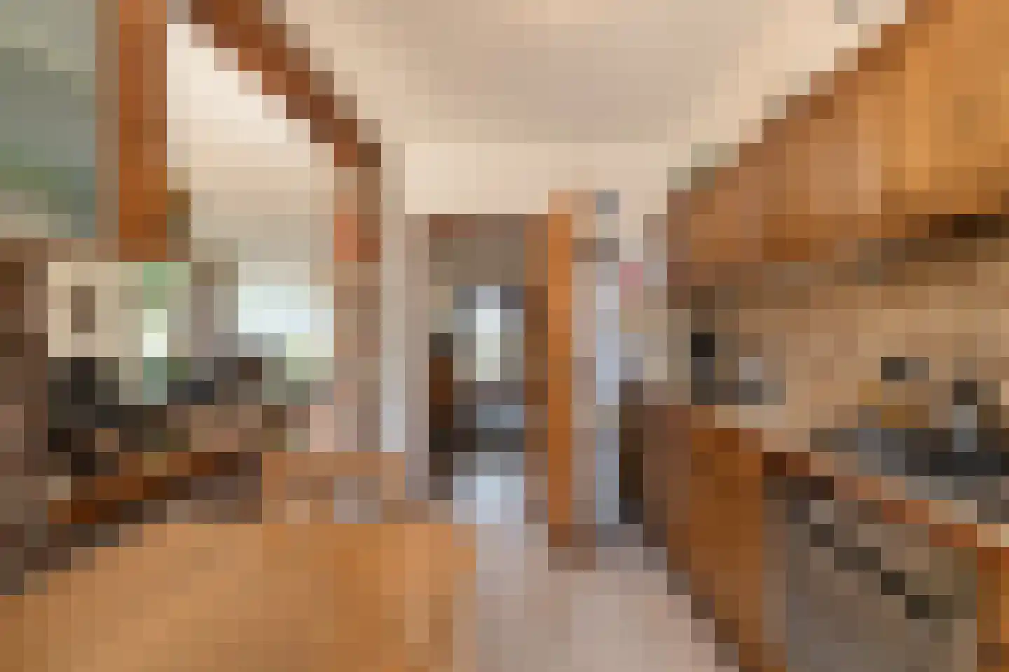 Europalaan 1 A Geleen thumbnail 24
