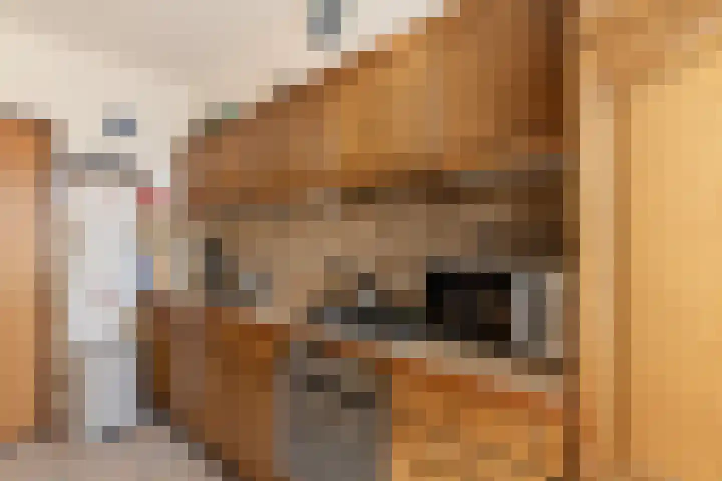 Europalaan 1 A Geleen thumbnail 26