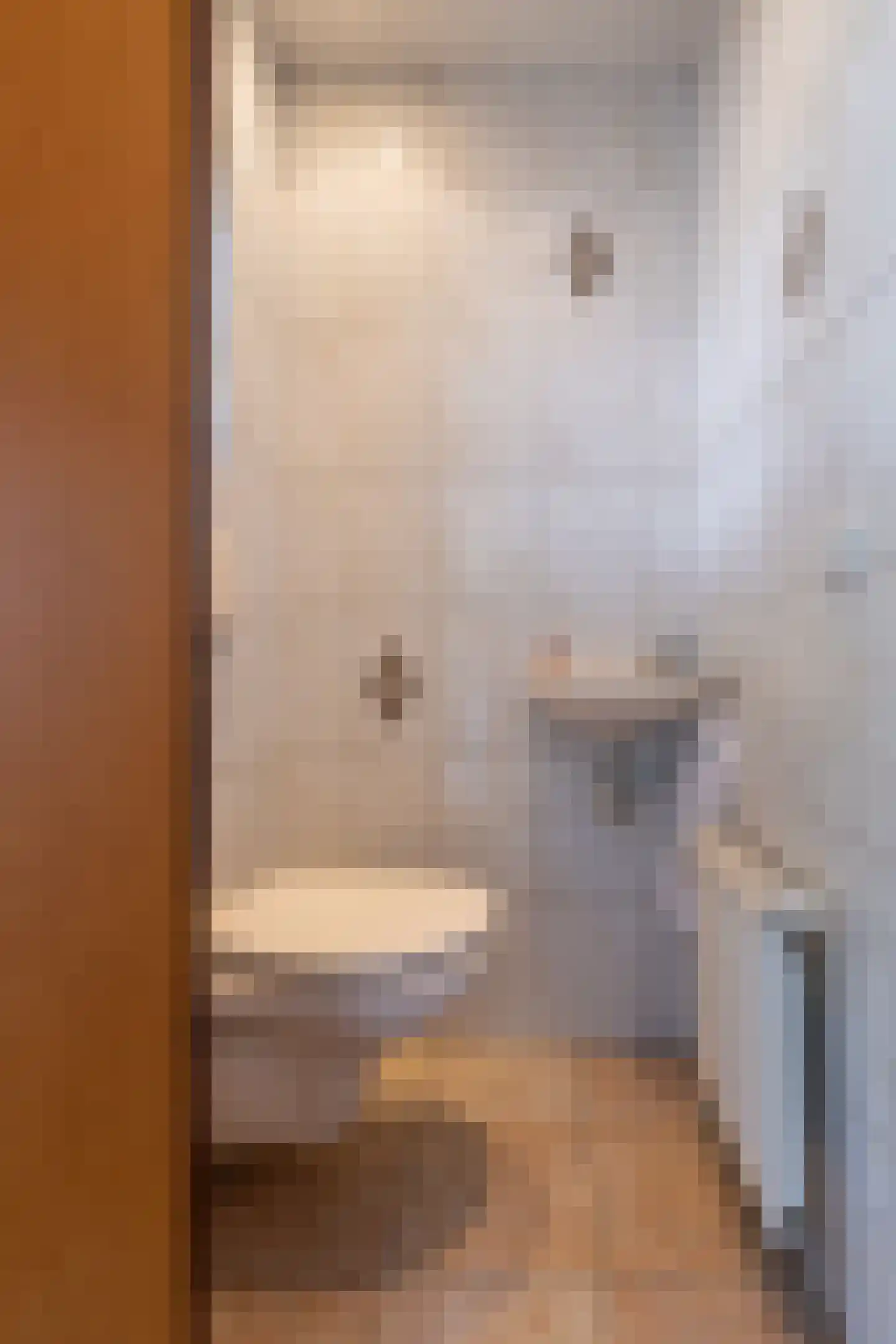 Europalaan 1 A Geleen thumbnail 28