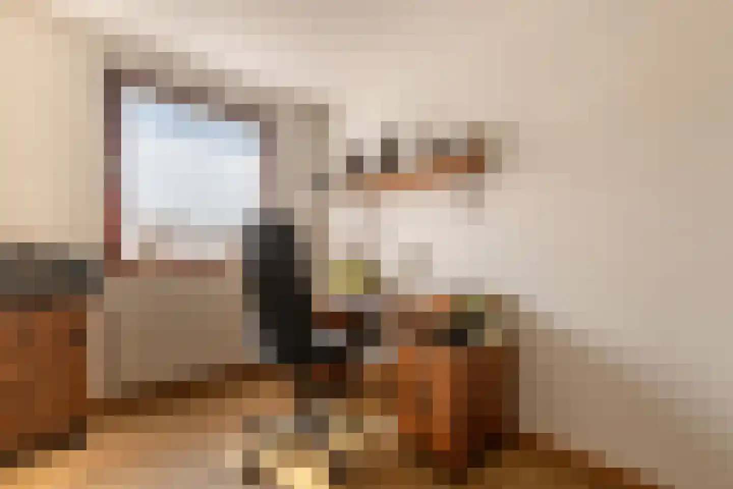 Europalaan 1 A Geleen thumbnail 35