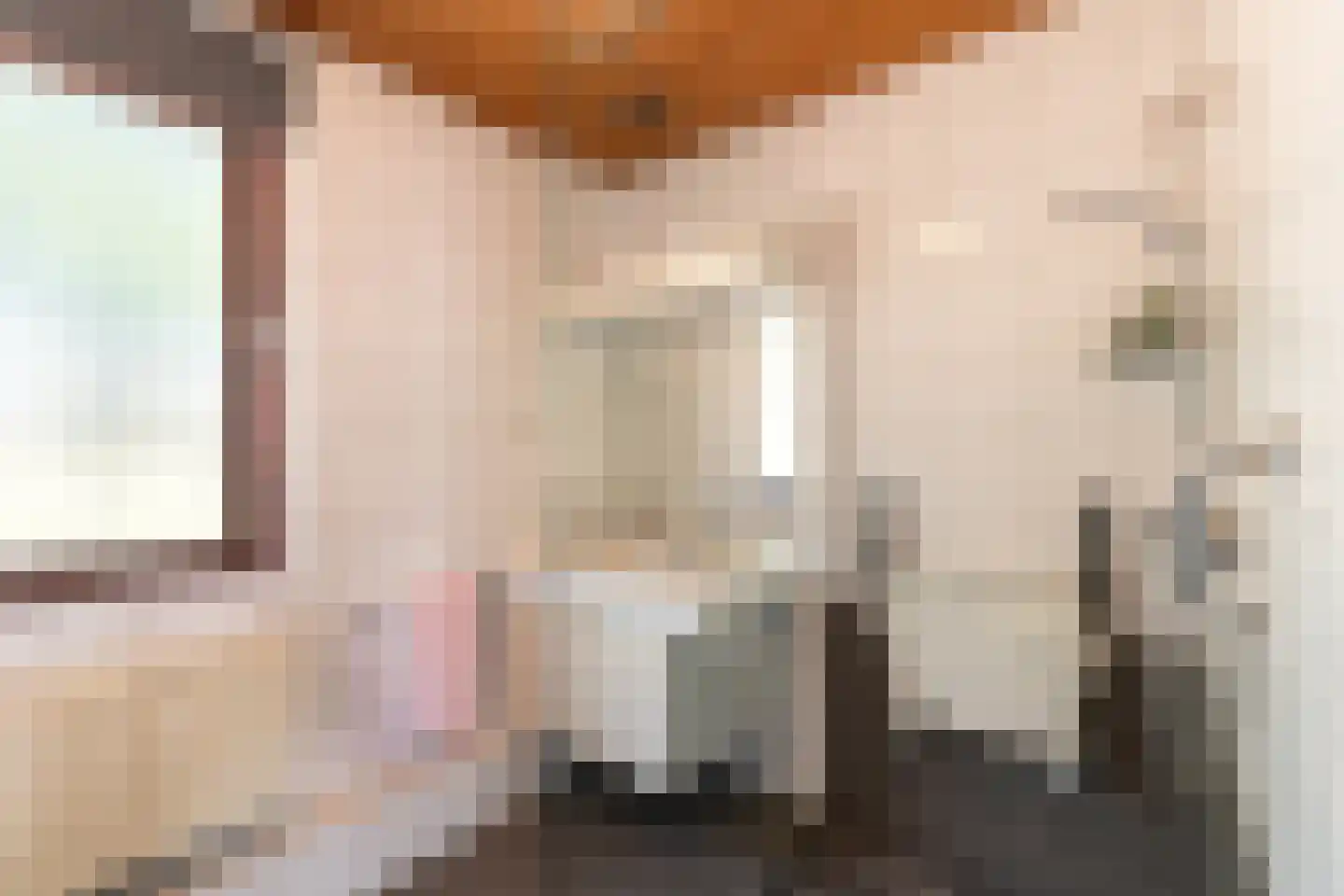 Europalaan 1 A Geleen thumbnail 37