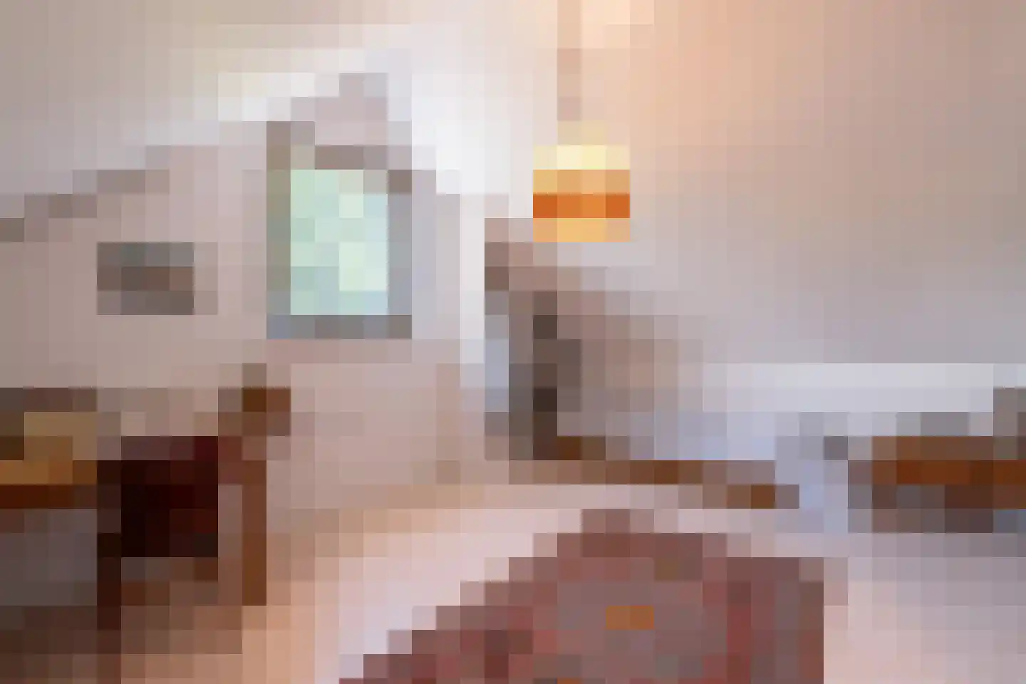 Europalaan 1 A Geleen thumbnail 4