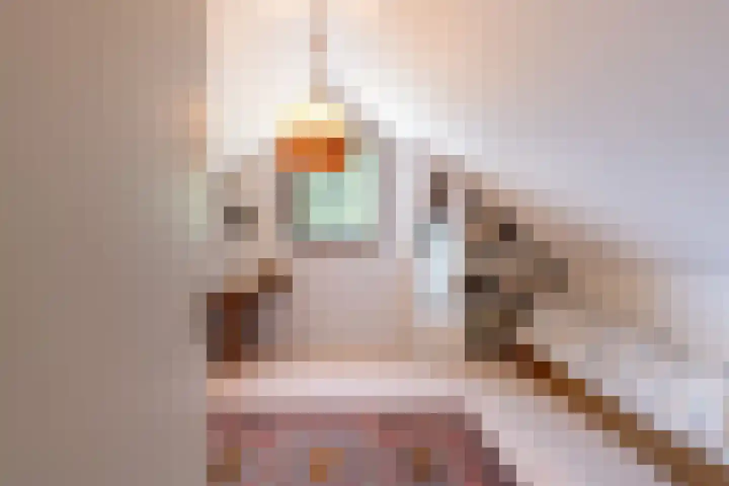 Europalaan 1 A Geleen thumbnail 45