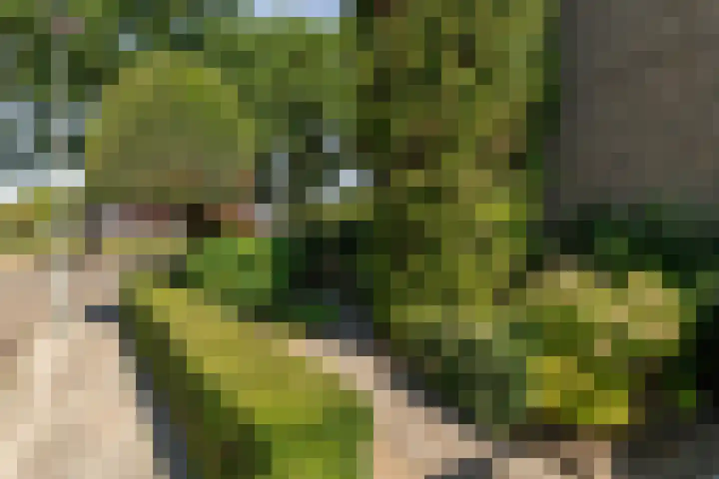 Europalaan 1 A Geleen thumbnail 49