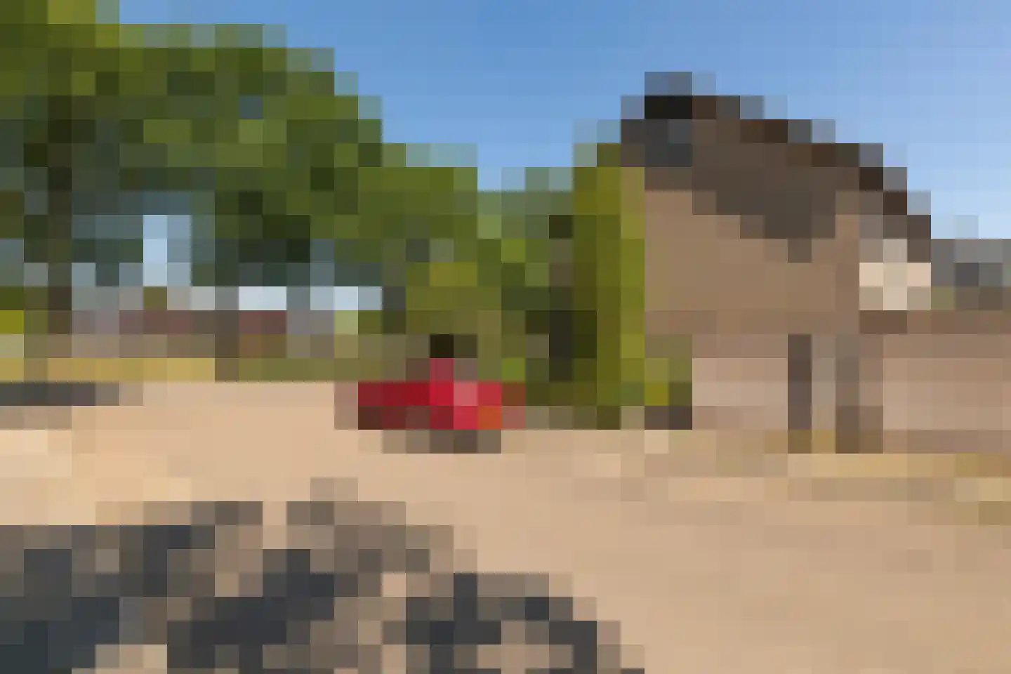 Europalaan 1 A Geleen thumbnail 51