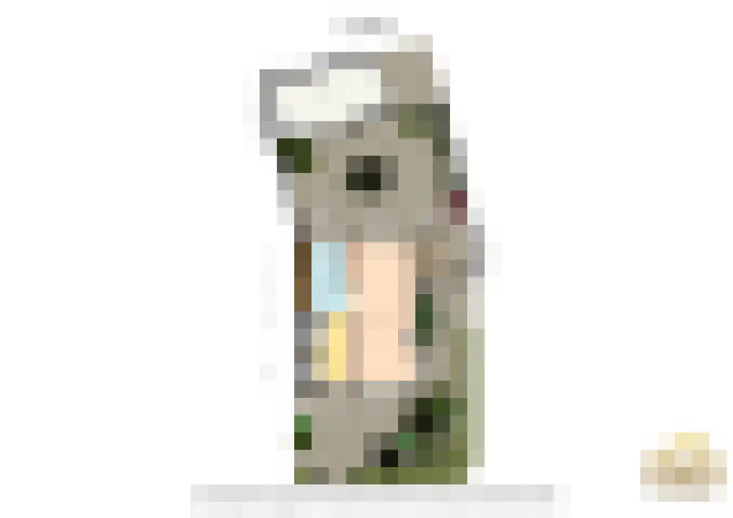 Europalaan 1 A Geleen thumbnail 56