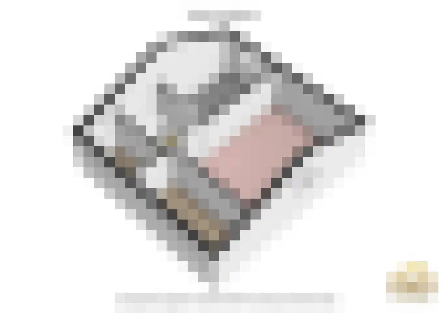 Europalaan 1 A Geleen thumbnail 62
