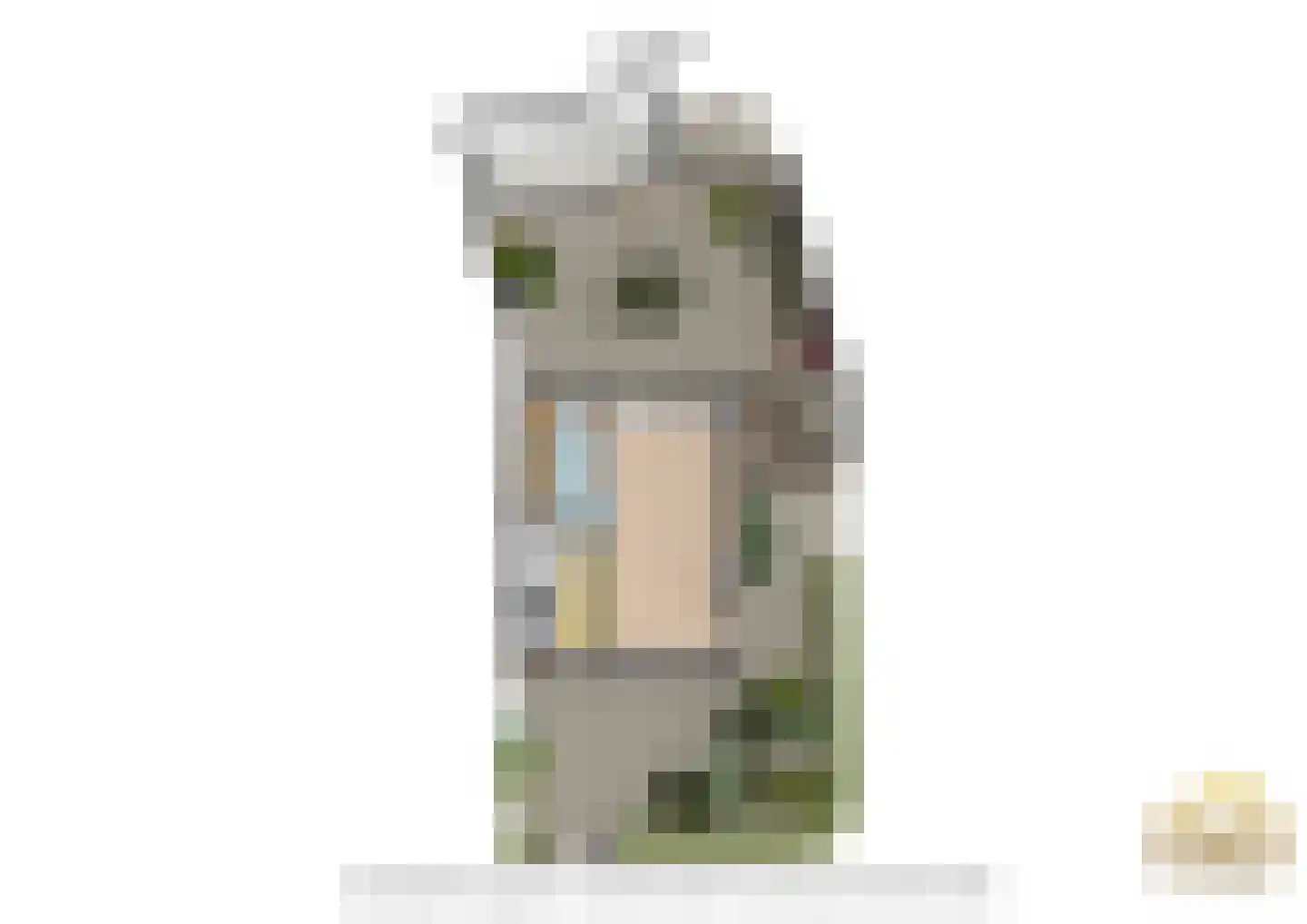 Europalaan 1 A Geleen thumbnail 63
