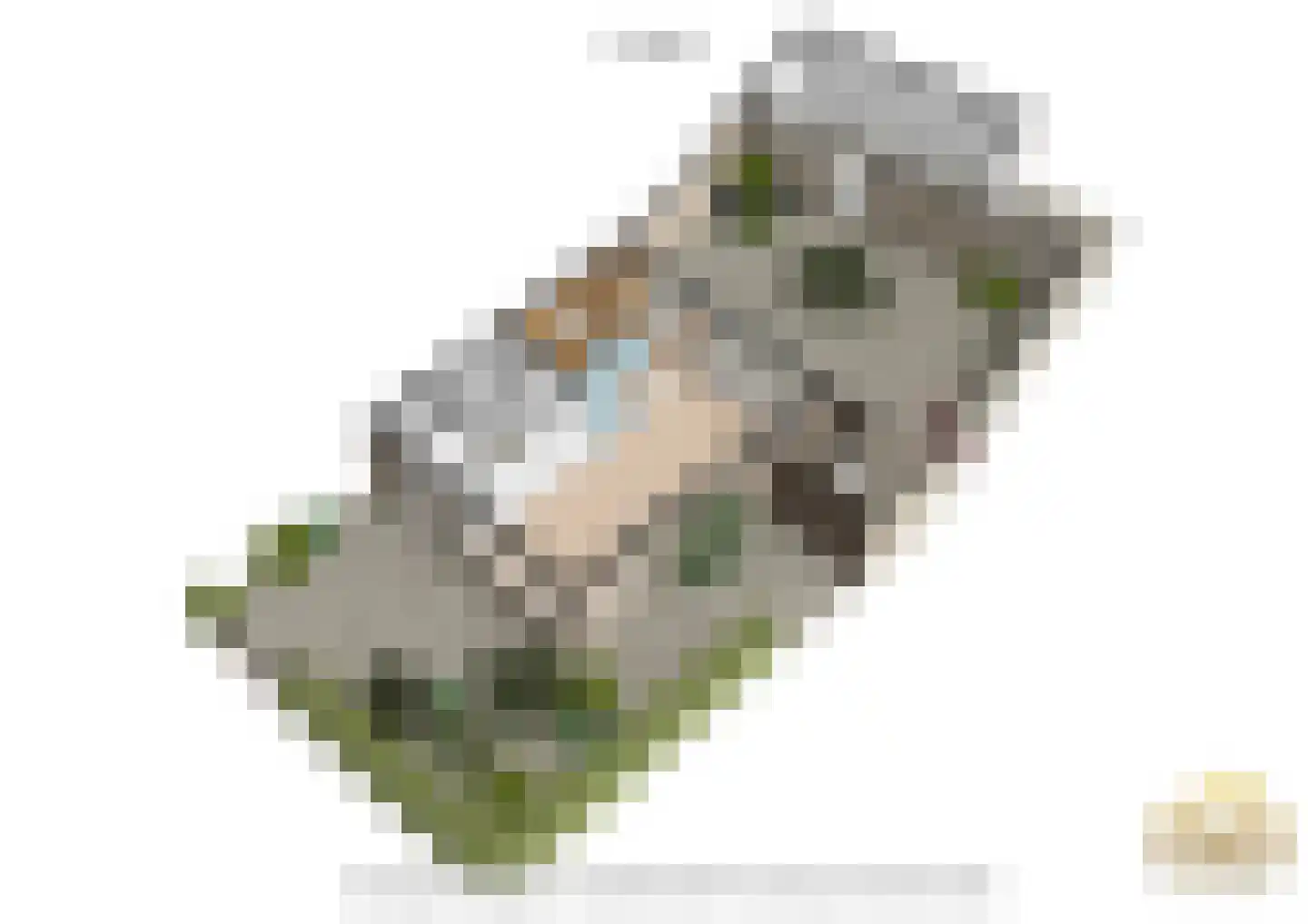 Europalaan 1 A Geleen thumbnail 64