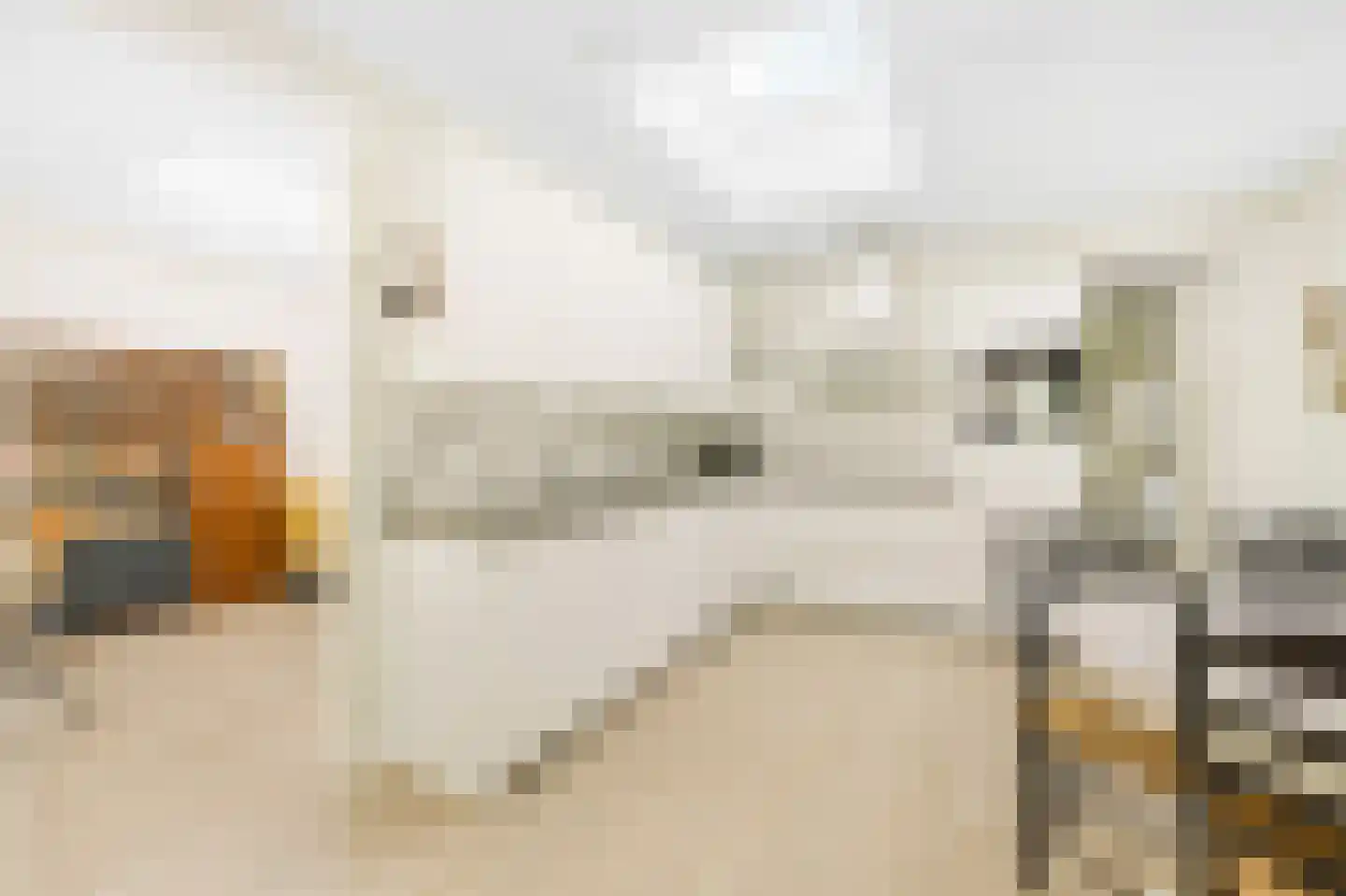 Europalaan 1 f Son en Breugel thumbnail 12