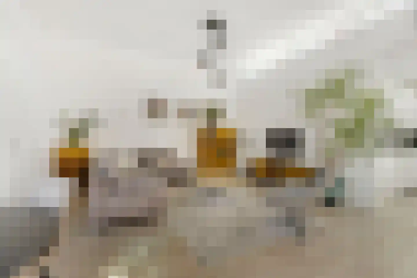 Europalaan 1 f Son en Breugel thumbnail 4