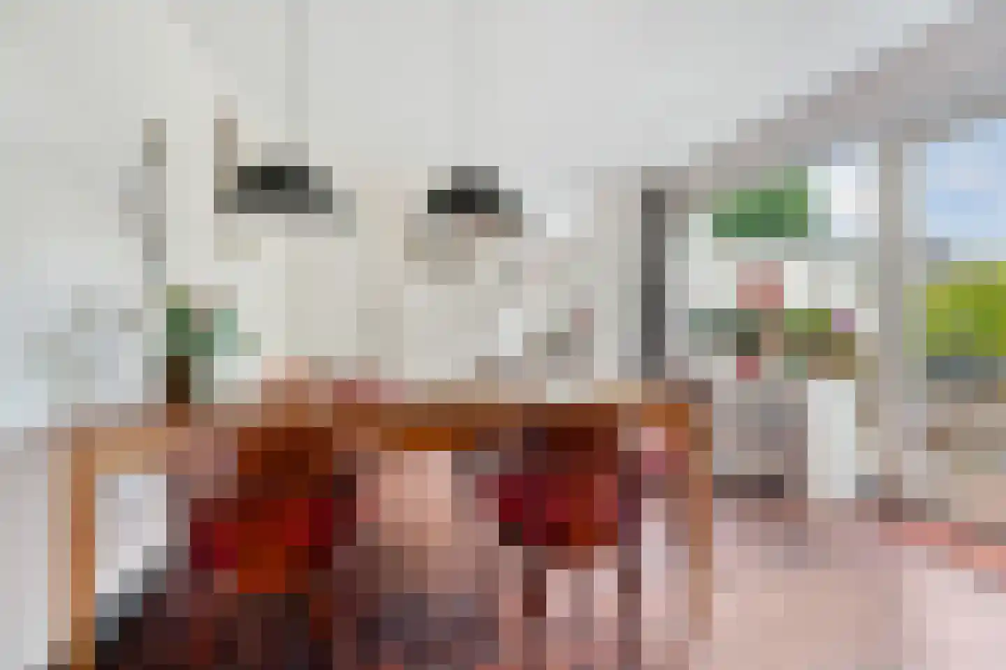 Europalaan 1 Gendt thumbnail 11