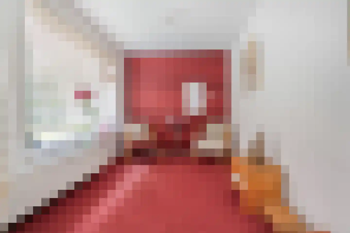 Europalaan 1 Gendt thumbnail 14