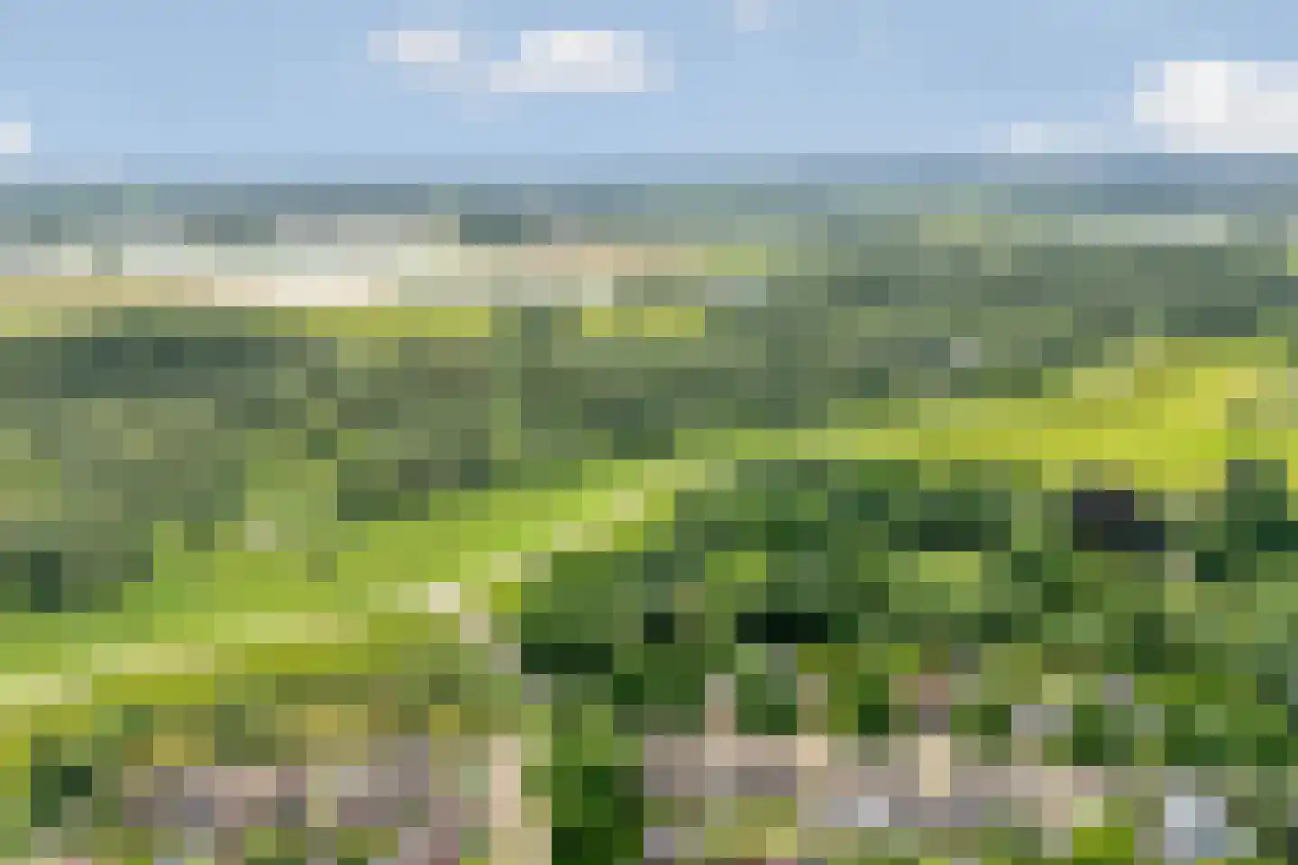 Europalaan 1 Gendt foto 2