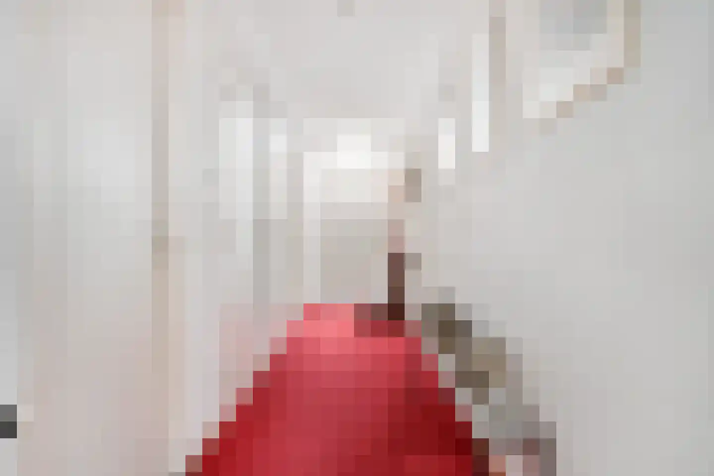 Europalaan 1 Gendt thumbnail 22