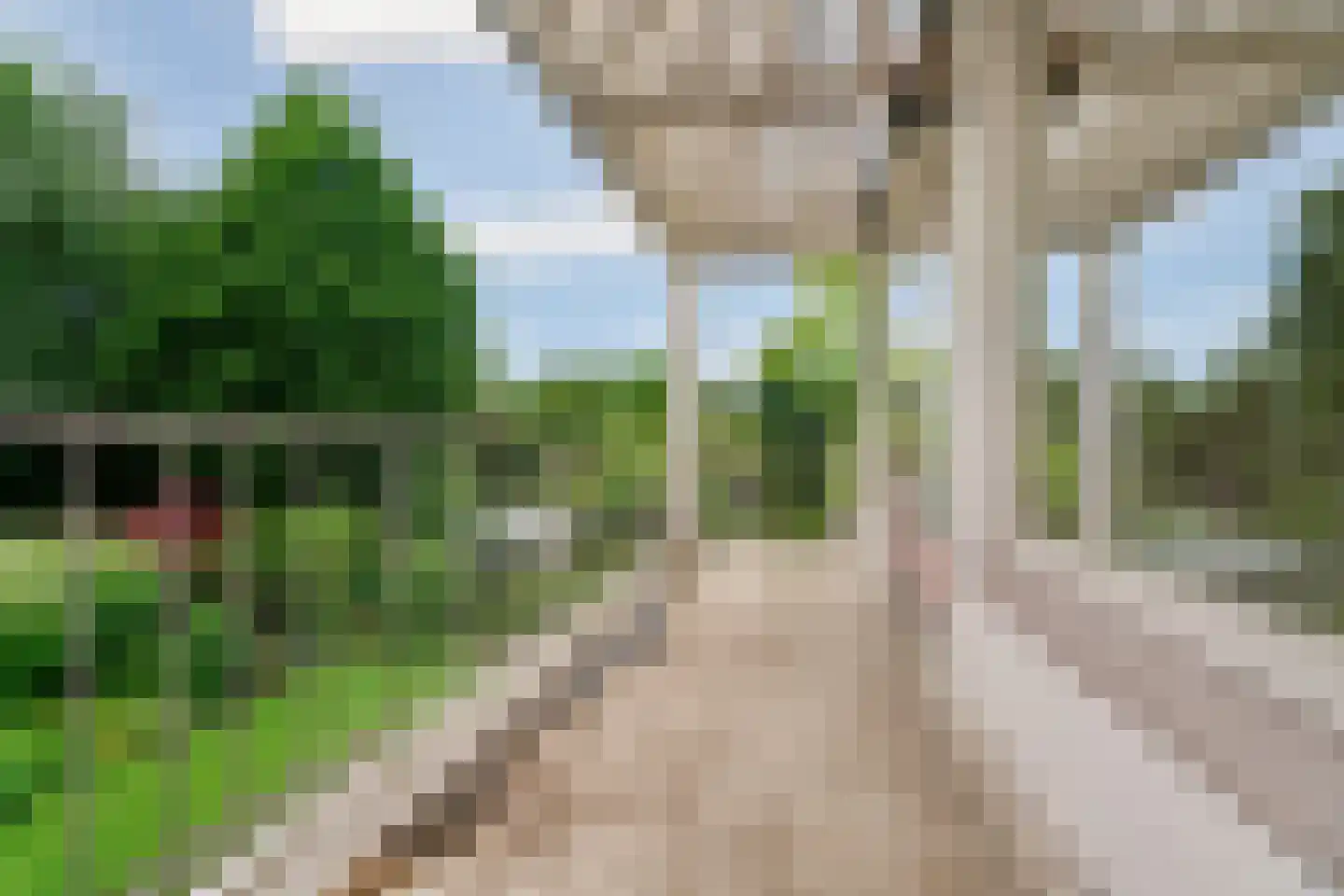 Europalaan 1 Gendt thumbnail 29