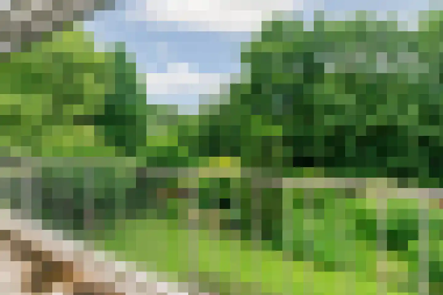 Europalaan 1 Gendt thumbnail 30