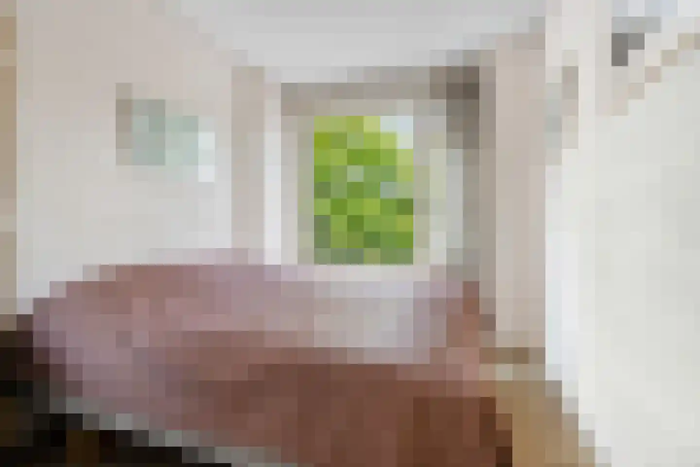 Europalaan 1 Gendt thumbnail 31
