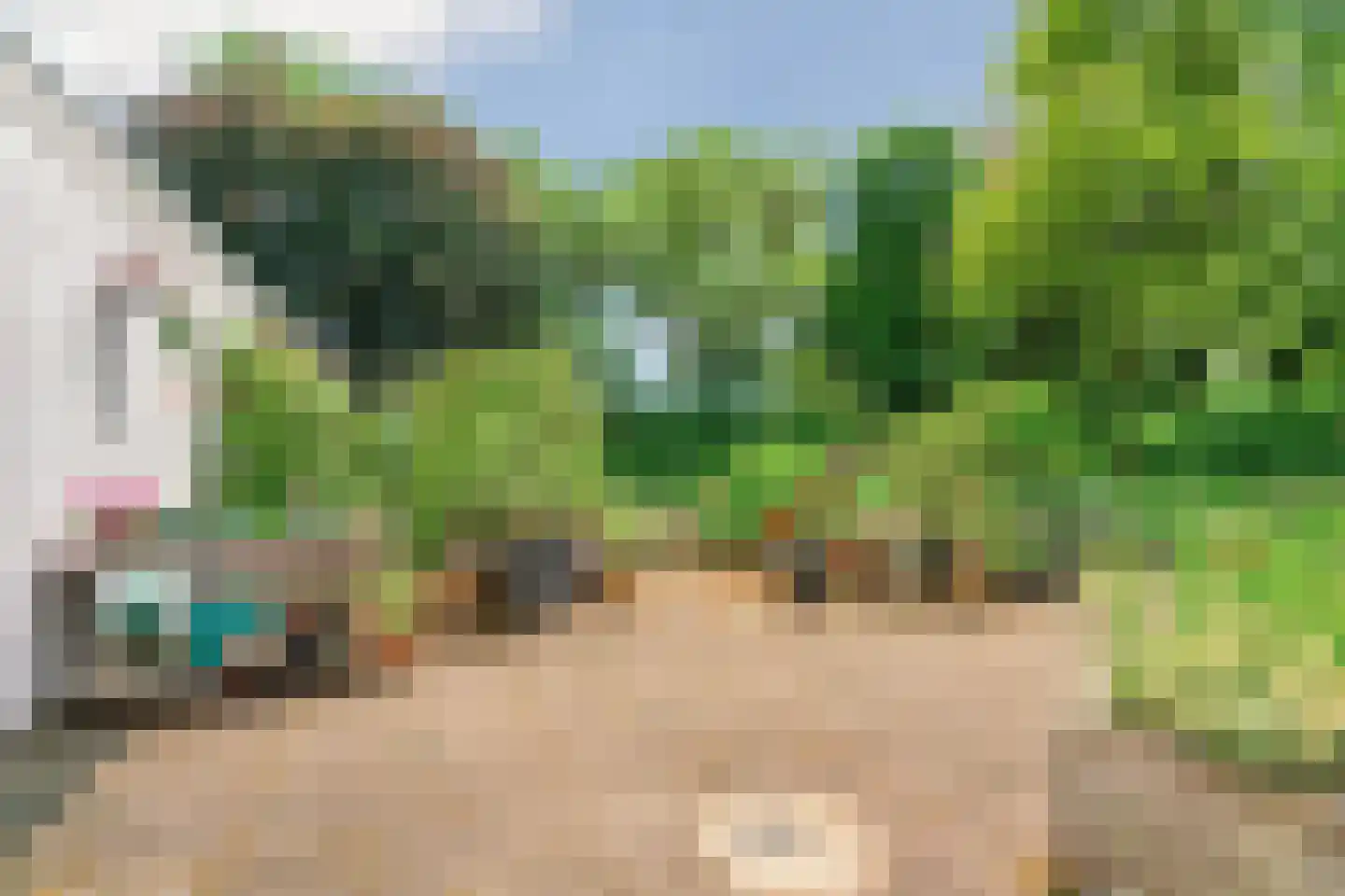 Europalaan 1 Gendt thumbnail 39