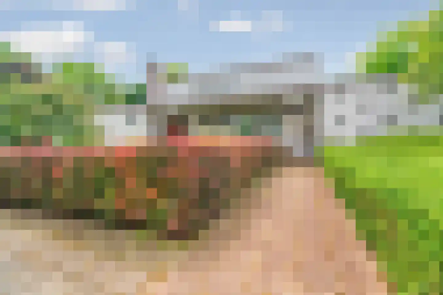 Europalaan 1 Gendt thumbnail 4