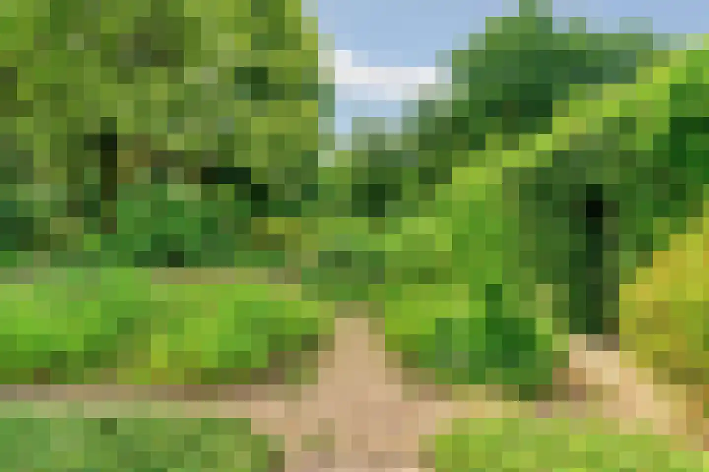 Europalaan 1 Gendt thumbnail 41