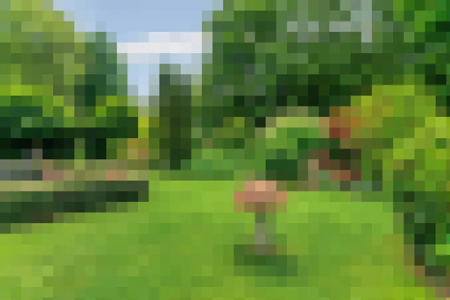 Europalaan 1 Gendt thumbnail 43